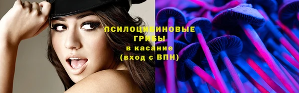 гидра Баксан