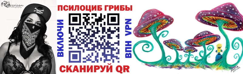 Галлюциногенные грибы Cubensis  купить наркоту  Заволжье 